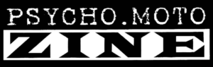 PMZ logo
