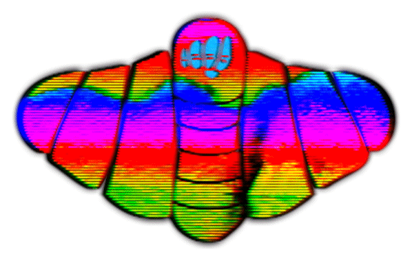 VTFF2019 Mothbird